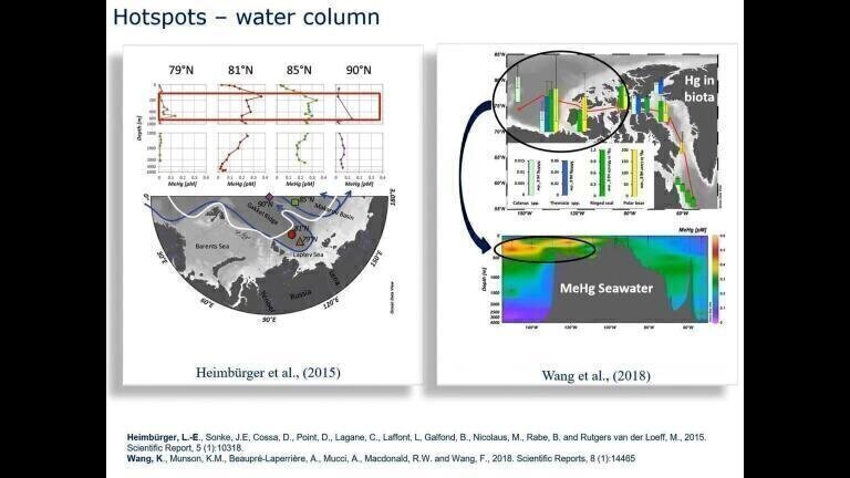 Processes Affecting Mercury Transformation and Biotic Uptake in the Arctic